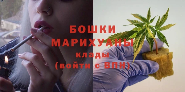 индика Кодинск
