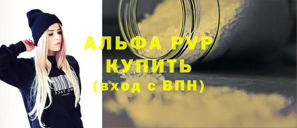 индика Кодинск