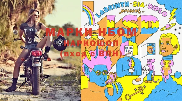 индика Кодинск