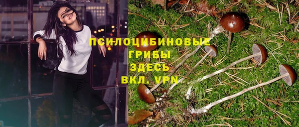 ALPHA-PVP Корсаков