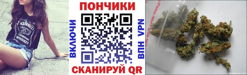 Шишки марихуана марихуана  Купить где  Аткарск 
